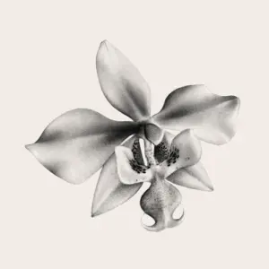 Fleur 