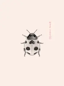 Coccinelle cœur