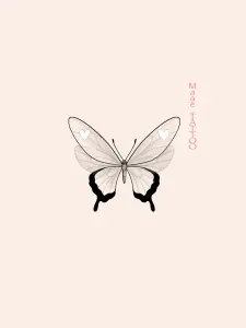 Papillon coeur