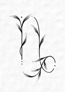 Capricorne