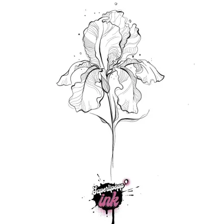 Lys