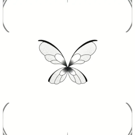 Aile de fée 