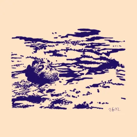 2602