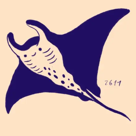 2611