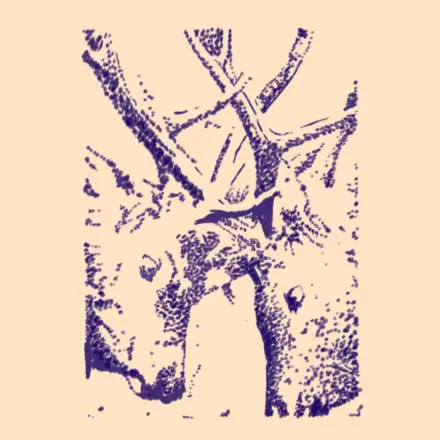 EE2 