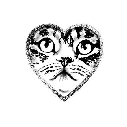 Coeur chat