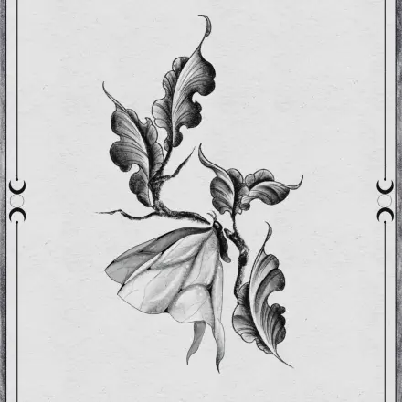 Papillon branche