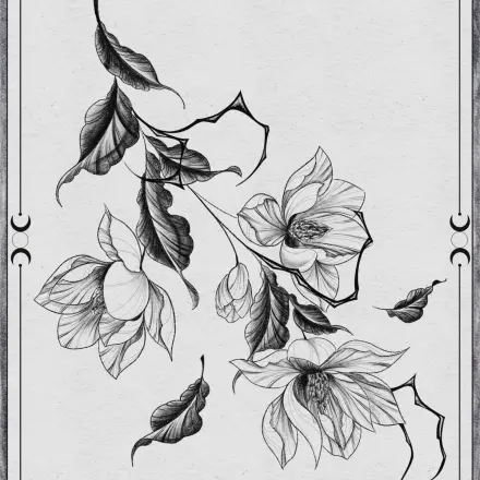 Branche de magnolia 