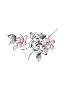 Papillon sur petites roses